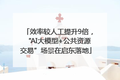 效率较人工提升9倍，“AI大模型+公共资源交易”场景在启东落地