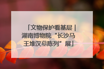 文物保护看基层｜湖南博物院“长沙马王堆汉墓陈列”展