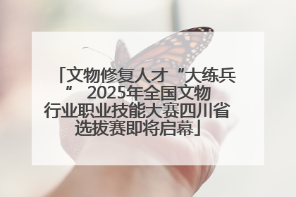 文物修复人才“大练兵” 2025年全国文物行业职业技能大赛四川省选拔赛即将启幕