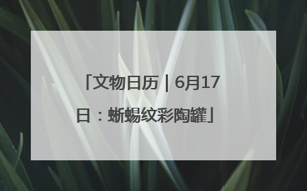 文物日历｜6月17日：蜥蜴纹彩陶罐