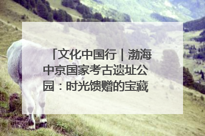 文化中国行｜渤海中京国家考古遗址公园：时光馈赠的宝藏 历史凝固的诗篇