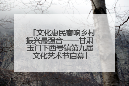 文化惠民奏响乡村振兴最强音——甘肃玉门下西号镇第九届文化艺术节启幕