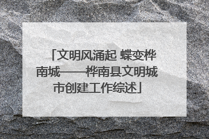 文明风涌起 蝶变桦南城——桦南县文明城市创建工作综述