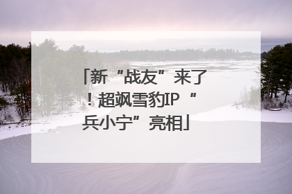 新“战友”来了！超飒雪豹IP“兵小宁”亮相