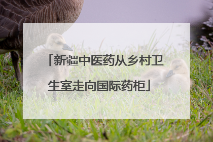 新疆中医药从乡村卫生室走向国际药柜