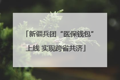 新疆兵团“医保钱包”上线 实现跨省共济
