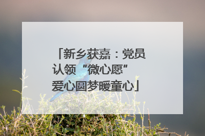 新乡获嘉：党员认领“微心愿” 爱心圆梦暖童心