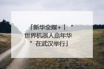 新华全媒+丨“世界机器人嘉年华”在武汉举行