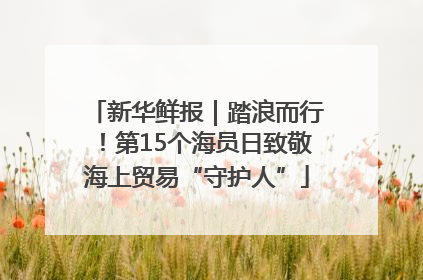 新华鲜报｜踏浪而行！第15个海员日致敬海上贸易“守护人”