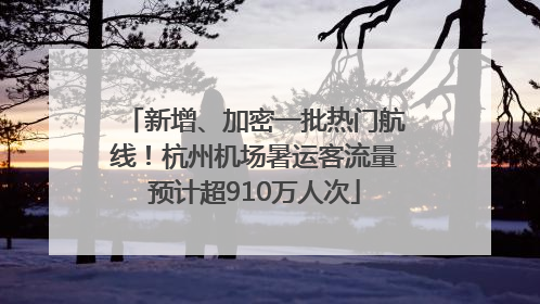 新增、加密一批热门航线！杭州机场暑运客流量预计超910万人次