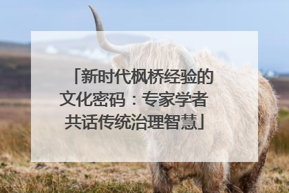 新时代枫桥经验的文化密码：专家学者共话传统治理智慧