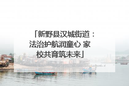 新野县汉城街道：法治护航润童心 家校共育筑未来