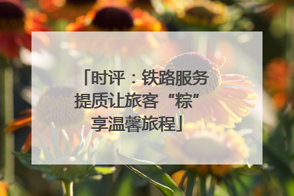 时评：铁路服务提质让旅客“粽”享温馨旅程