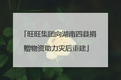 旺旺集团向湖南四县捐赠物资助力灾后重建