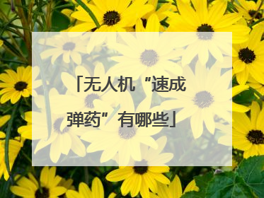 无人机“速成弹药”有哪些
