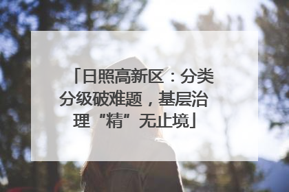 日照高新区：分类分级破难题，基层治理“精”无止境