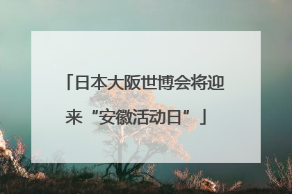 日本大阪世博会将迎来“安徽活动日”