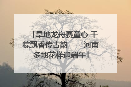 旱地龙舟赛童心 千粽飘香传古韵——河南多地花样迎端午
