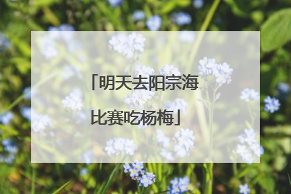 明天去阳宗海比赛吃杨梅
