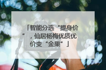 智能分选“提身价”，仙居杨梅优质优价变“金果”