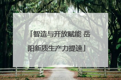 智造与开放赋能 岳阳新质生产力提速