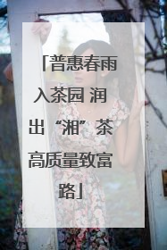 普惠春雨入茶园 润出“湘”茶高质量致富路