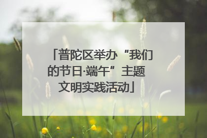 普陀区举办“我们的节日·端午”主题文明实践活动