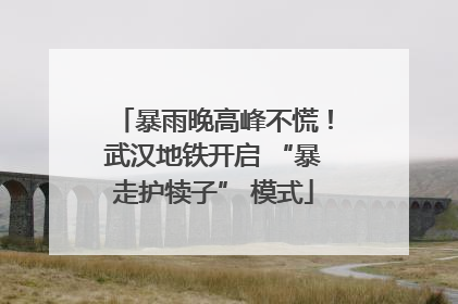 暴雨晚高峰不慌！武汉地铁开启 “暴走护犊子” 模式