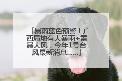 暴雨蓝色预警！广西局地有大暴雨+雷暴大风，今年1号台风最新消息……
