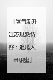 暑气渐升江苏瓜熟待客：追瓜人寻甜蜜