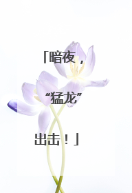 暗夜，“猛龙”出击！