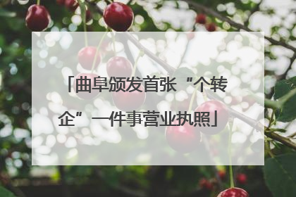 曲阜颁发首张“个转企”一件事营业执照