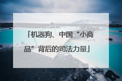 机器狗、中国“小商品”背后的司法力量