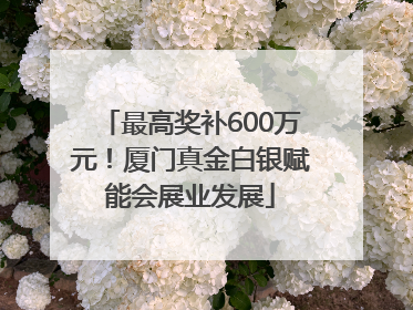 最高奖补600万元！厦门真金白银赋能会展业发展