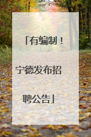 有编制！宁德发布招聘公告
