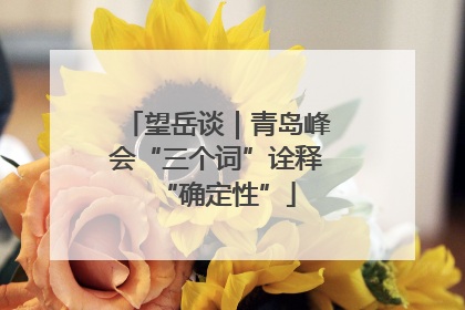 望岳谈｜青岛峰会“三个词”诠释“确定性”