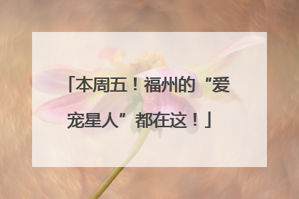 本周五！福州的“爱宠星人”都在这！