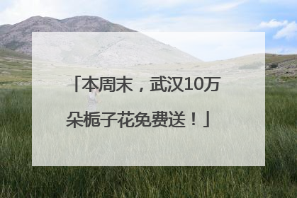 本周末，武汉10万朵栀子花免费送！