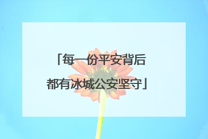 每一份平安背后 都有冰城公安坚守