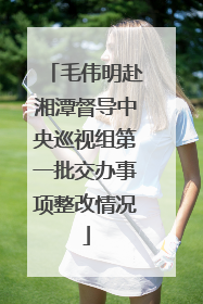 毛伟明赴湘潭督导中央巡视组第一批交办事项整改情况