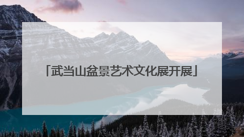 武当山盆景艺术文化展开展