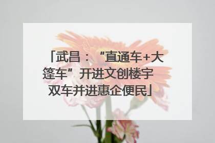 武昌:“直通车+大篷车”开进文创楼宇 双车并进惠企便民