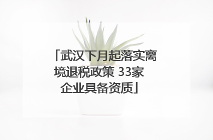 武汉下月起落实离境退税政策 33家企业具备资质