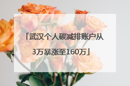 武汉个人碳减排账户从3万暴涨至160万