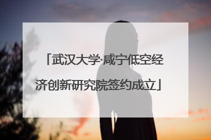武汉大学·咸宁低空经济创新研究院签约成立
