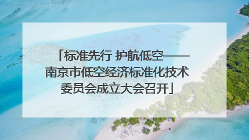 标准先行 护航低空——南京市低空经济标准化技术委员会成立大会召开