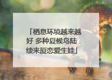栖息环境越来越好 多种夏候鸟陆续来厦恋爱生娃