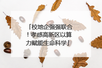 校地企强强联合！孝感高新区以算力赋能生命科学