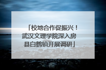 校地合作促振兴！武汉文理学院深入房县白鹤镇开展调研