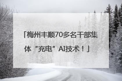梅州丰顺70多名干部集体“充电”AI技术！